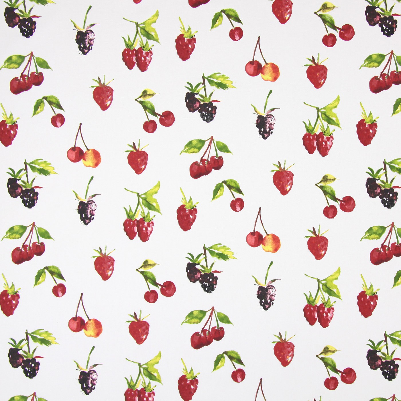  Summer Berries Watercolour