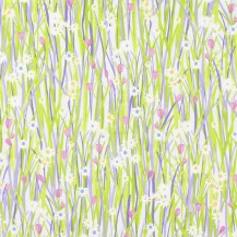  Spring Daisy Lavender
